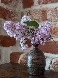 un jarrón con flores púrpuras en una mesa en BacksteinFlair - LüneMitte, en Lüneburg