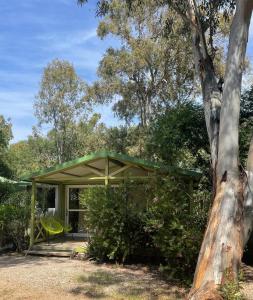 uma casa com um telhado verde ao lado de uma árvore em Camping la Clé des Champs em Calvi