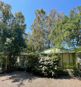 uma pequena casa verde com árvores ao fundo em Camping la Clé des Champs em Calvi