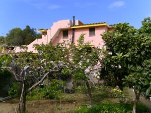 una casa rosa con alberi di fronte di Casa Li Multi a Budoni