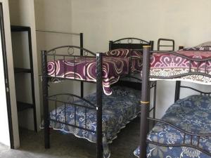 Llit o llits en una habitació de Trotamundo Oaxaca Hostel