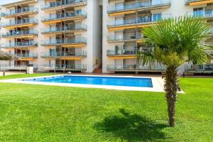 a palm tree in front of a building with a swimming pool at NIDO 150 Mestral in Roses