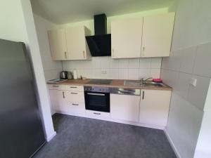 A cozinha ou cozinha compacta de Ferienhaus Tüchersfeld