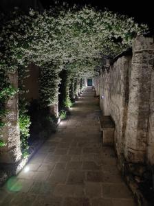 un tunnel recouvert de lierre avec une rangée de bancs dans l'établissement Corte Piri, à Tricase