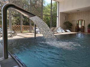 einen Brunnen in einem Pool in einem Haus in der Unterkunft Hotel U Zámečku Cihelny in Karlsbad