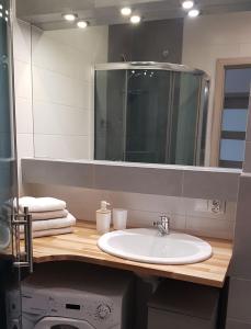 Kupatilo u objektu Apartament Leliwa - Centrum