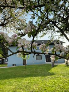 フェルトキルヘン・イン・ケルンテンにあるNikolaierhausの建物前のピンクの花の木