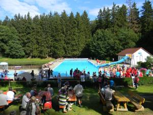 a crowd of people standing around a swimming pool at Hotel Waldmühle in Elend