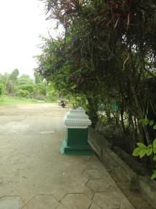 En hage utenfor JUNGLE PARADISE FARM & GUEST HOUSE