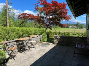 A garden outside Waldchalet am Eichhof