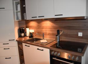 cocina con fregadero y encimera en NewPort Weser, NewPort Marina, en Bremerhaven