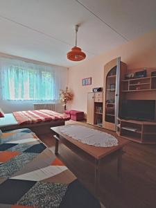 a living room with a couch and a table at Apartmán v Srní in Srní