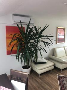 a living room with a potted plant and a couch at Apartment Sabine in Oberasbach