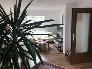 a living room with a potted plant next to a door at Apartment Sabine in Oberasbach