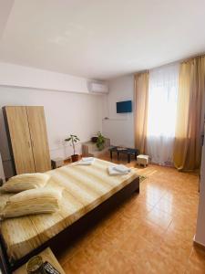 ein Schlafzimmer mit einem großen Bett und einem großen Fenster in der Unterkunft Casa Ana in Bukarest