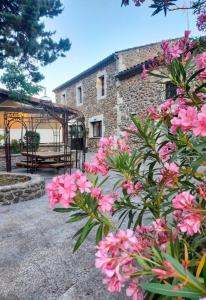 A garden outside Hôtel du cros d'Auzon