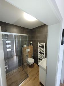 een badkamer met een douche, een toilet en een wastafel bij Apartmán U nás in Frymburk