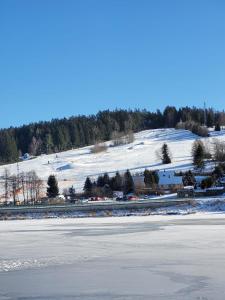 een uitzicht op een met sneeuw bedekt veld met een bevroren meer bij Apartmán U nás in Frymburk