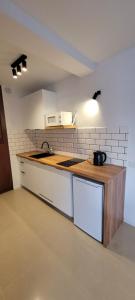 A cozinha ou cozinha compacta de Apartamenty Morski Brzeg - Sauna, Balia