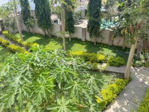 un giardino con piante e alberi in un cortile di Mudzini gardens - Luxury villa with a pool a Mombasa