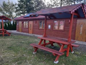 una panchina da picnic di fronte a una cabina di Agroturystyka nad Biebrza Sośniaki a Goniadz