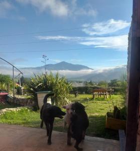 Un paisaje natural cerca de la posada