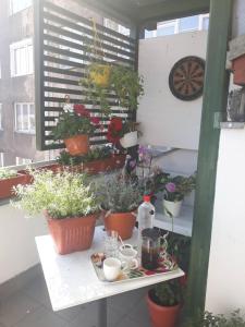 a table with potted plants on a balcony at Central Park Gallery in Sarajevo