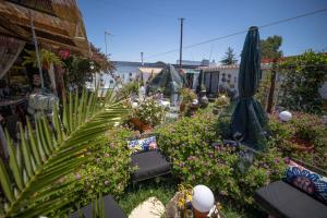 a garden with a bunch of flowers and plants at Beach House Babylon guest house with kitchenette and garden in Torreira