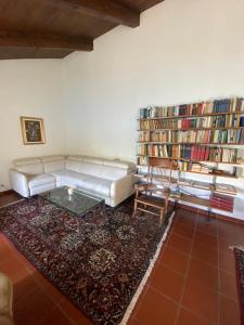 La biblioteca del departamento