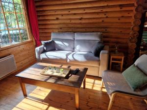 Гостиная зона в Les Chalets Amneville