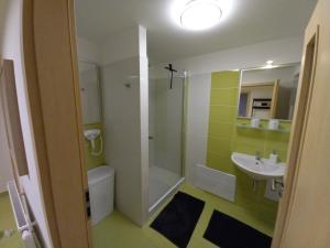 a bathroom with a sink and a toilet and a shower at apartmány LUHA in Luhačovice