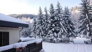 Am Kaltenbach - Spital am Semmering, Stuhleck during the winter