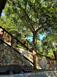 un escalier avec un arbre et une clôture dans l'établissement Villa Nautilus, à Nosy Komba