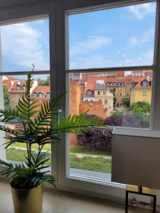 ein Fenster mit Topfpflanze und Stadtblick in der Unterkunft Movo Old Town Apartments in Warschau