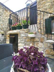 un montón de flores púrpuras en una olla en un balcón en Stone house Castellum, en Kaštela