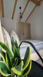 Gallery image of Apartment Ariela in Izola