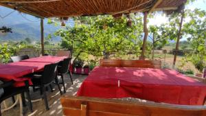 - un restaurant avec des tables et des chaises rouges offrant une vue dans l'établissement Bujtina Polimen, à Përmet