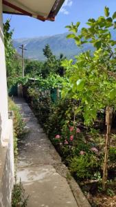 d'un jardin avec des plantes et des fleurs sur le côté d'une maison. dans l'établissement Bujtina Polimen, à Përmet