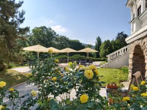 einen Garten mit gelben Blumen und Sonnenschirmen in der Unterkunft Hotel U Zámečku Cihelny in Karlsbad