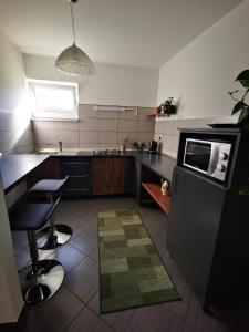 Kitchen o kitchenette sa Apartman Sveti Rok