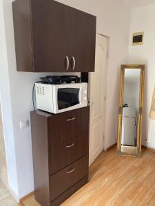 a microwave sitting on top of a cabinet in a kitchen at Private House Citadela Tg.Mures in Târgu-Mureş