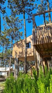 a wooden house in the middle of trees at Bukubaki Eco Surf in Ferrel