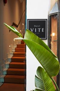 een groene bladplant naast een trap bij HOTEL VITE - By Naman Hotellerie in Rome