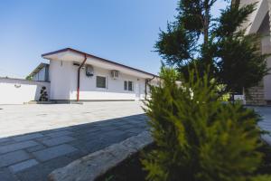 une maison blanche avec un arbre en face dans l'établissement ALFA Apartmani, à Subotica