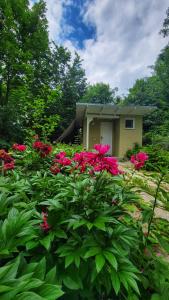 A garden outside The Bungalow