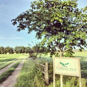 Зображення з фотогалереї помешкання Uylkenshof safaritenten en natuurhuisjes у місті Епе