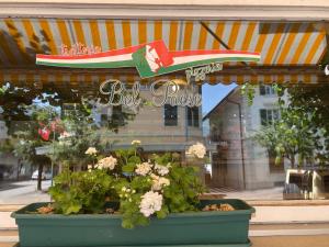 a store window with a pot of flowers and a cola sign at Hasli Lodge in Meiringen