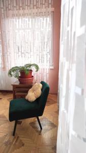 einen grünen Stuhl mit Kissen in einem Zimmer mit Fenster in der Unterkunft Cozy room in Kaunas in Kaunas