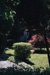 un jardín con un arbusto y una casa al fondo en House for rest Juliet, en Velika Gorica