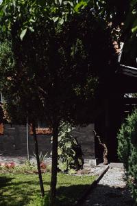 un árbol sentado en el césped en un patio en House for rest Juliet, en Velika Gorica